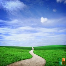 Tranh giấy dán tường phòng khách đẹp tại Hà Nội NA - 383